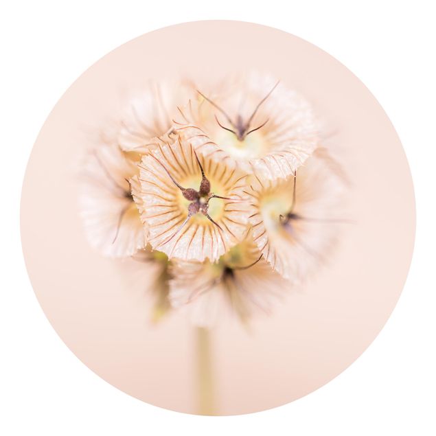Runde Tapete selbstklebend - Pastellfarbener Blütenstrauß II