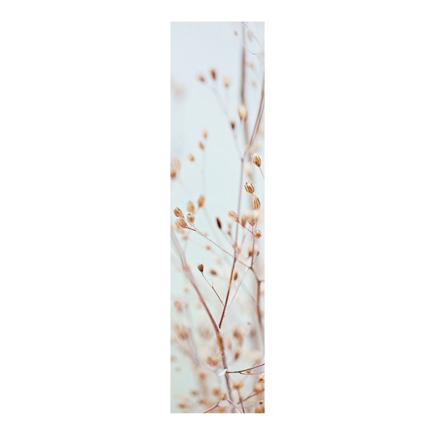 Schiebegardinen Set - Pastellknospen am Wildblumenzweig - Flächenvorhang