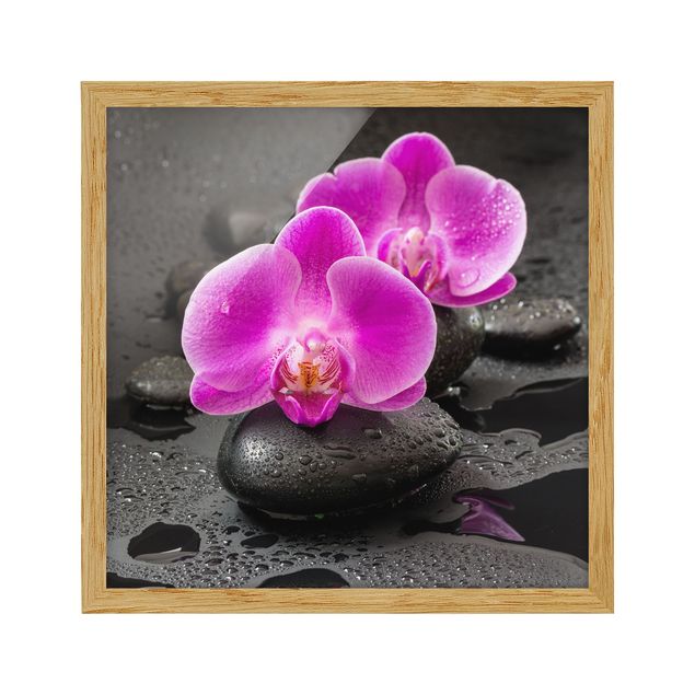 Bild mit Rahmen - Pinke Orchideenblüten auf Steinen mit Tropfen - Quadrat 1:1