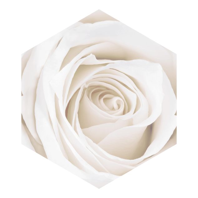 Hexagon Mustertapete selbstklebend - Pretty White Rose