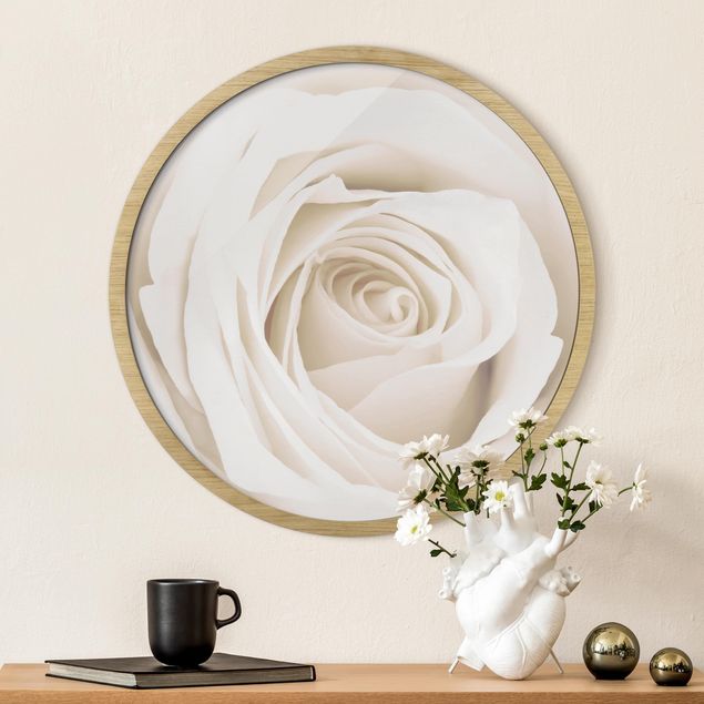 Runde Bilder mit Rahmen Pretty White Rose