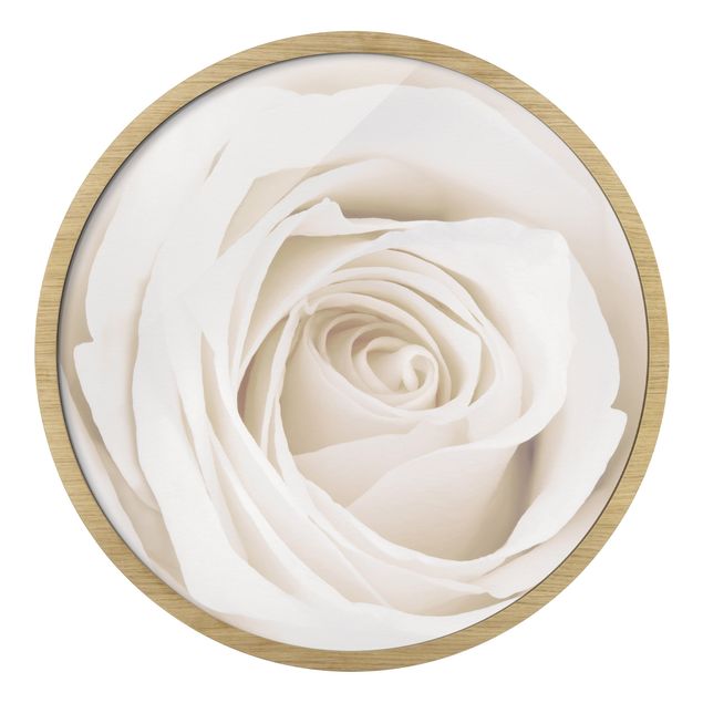Rundes Gerahmtes Bild - Pretty White Rose
