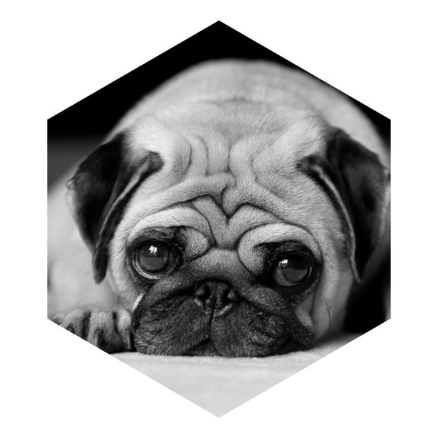 Hexagon Mustertapete selbstklebend - Pug Loves You II