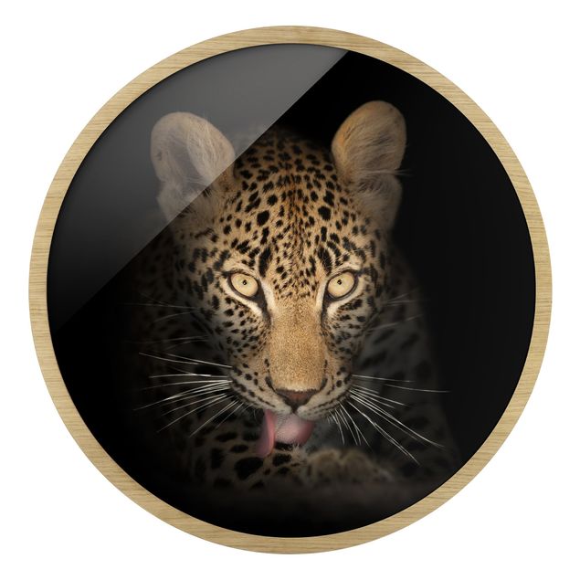 Rundes Gerahmtes Bild - Resting Leopard