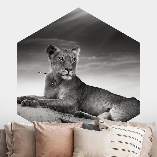 Hexagon Mustertapete selbstklebend - Resting Lion