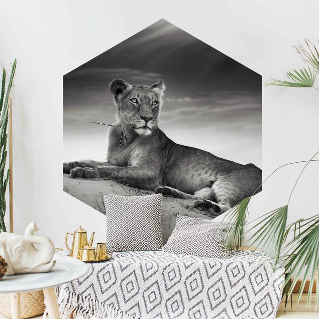 Hexagon Mustertapete selbstklebend - Resting Lion