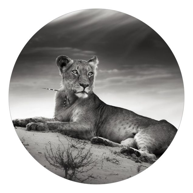 Runde Tapete selbstklebend - Resting Lion