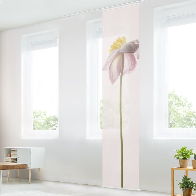 Schiebegardinen Set - Rosa Anemonenblüten - Flächenvorhang