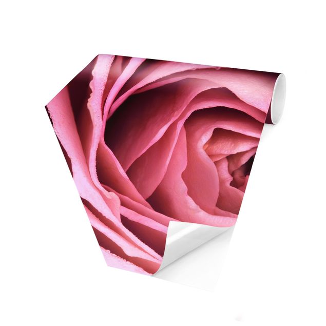 Hexagon Mustertapete selbstklebend - Rosa Rosenblüte