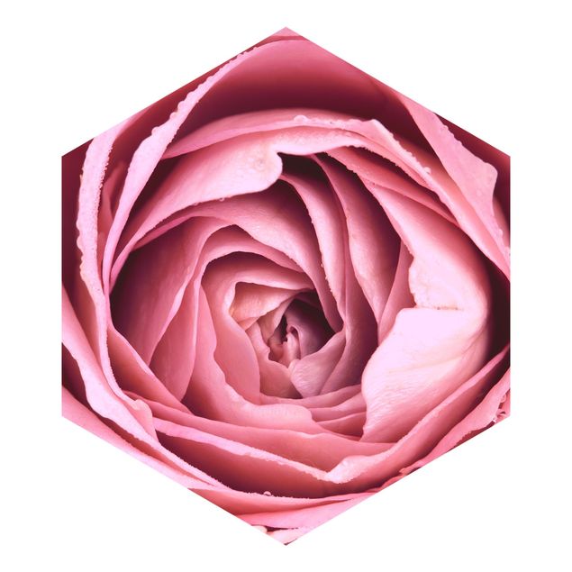 Hexagon Mustertapete selbstklebend - Rosa Rosenblüte