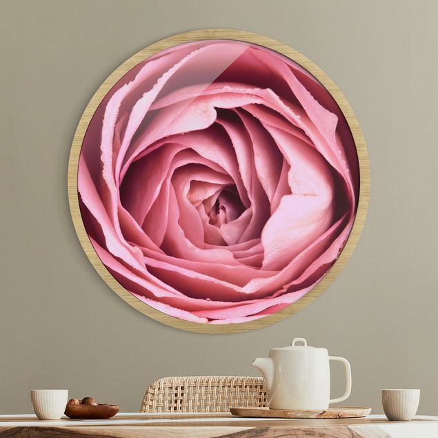 Rundes Gerahmtes Bild - Rosa Rosenblüte
