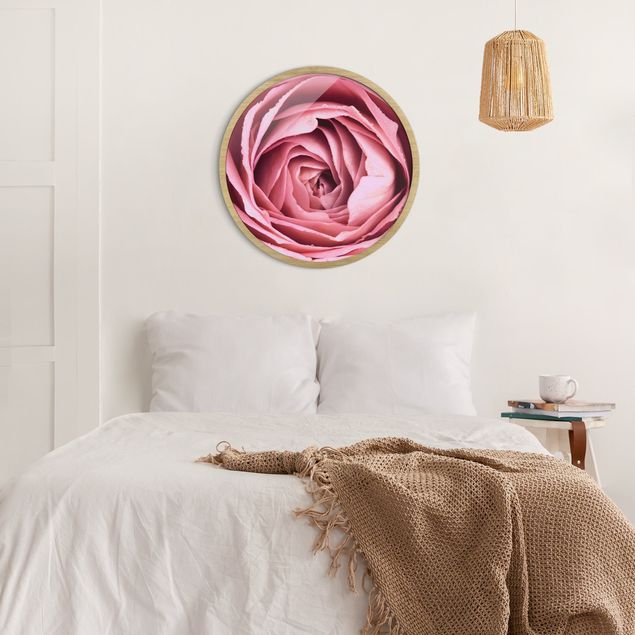 Rundes Gerahmtes Bild - Rosa Rosenblüte