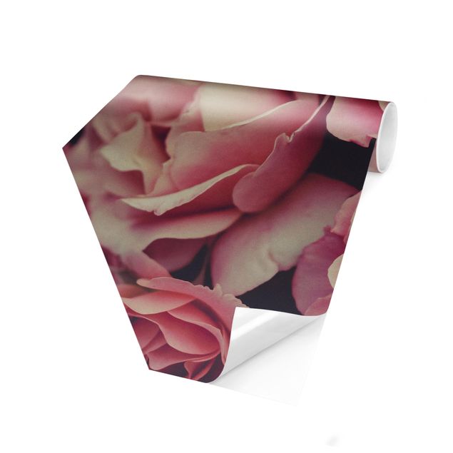 Hexagon Mustertapete selbstklebend - Rosenträume