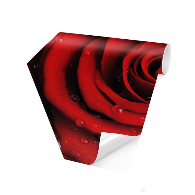 Hexagon Mustertapete selbstklebend - Rote Rose mit Wassertropfen