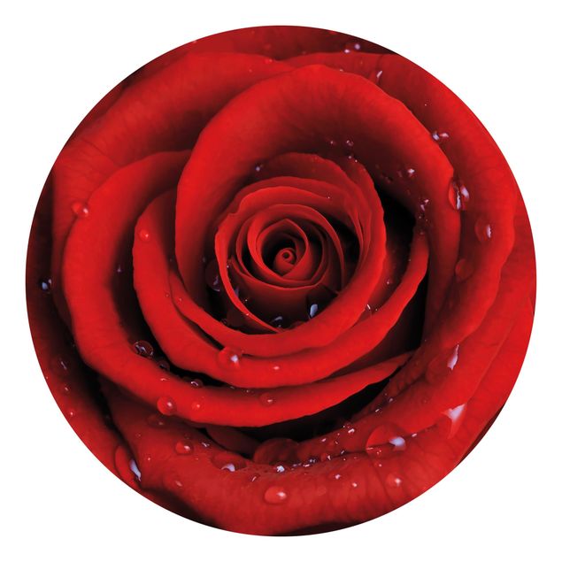 Runde Tapete selbstklebend - Rote Rose mit Wassertropfen