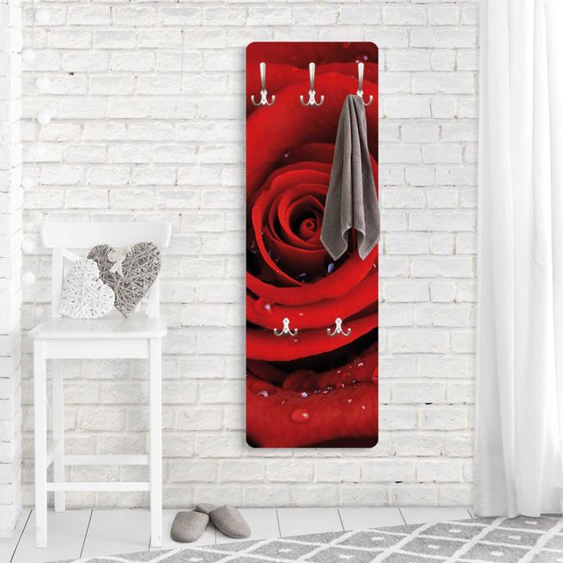 Rosen Garderobe - Rote Rose mit Wassertropfen - Blumenbild Rot