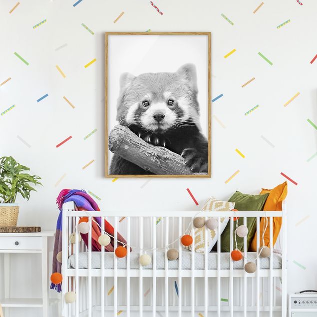 Bild mit Rahmen - Roter Panda in Schwarz-weiß - Hochformat
