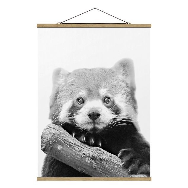 Stoffbild mit Posterleisten - Roter Panda in Schwarz-weiß - Hochformat 3:4