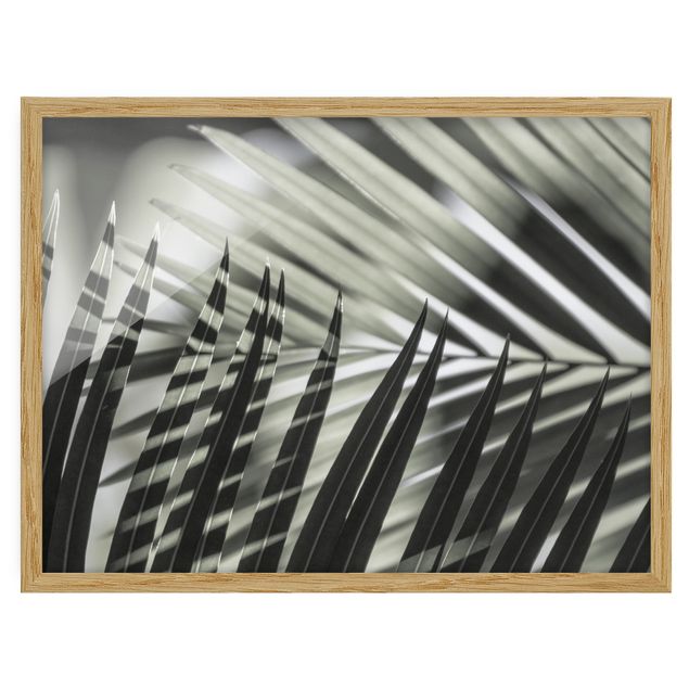 Bild mit Rahmen - Schattenspiel auf Palmenwedel - Querformat