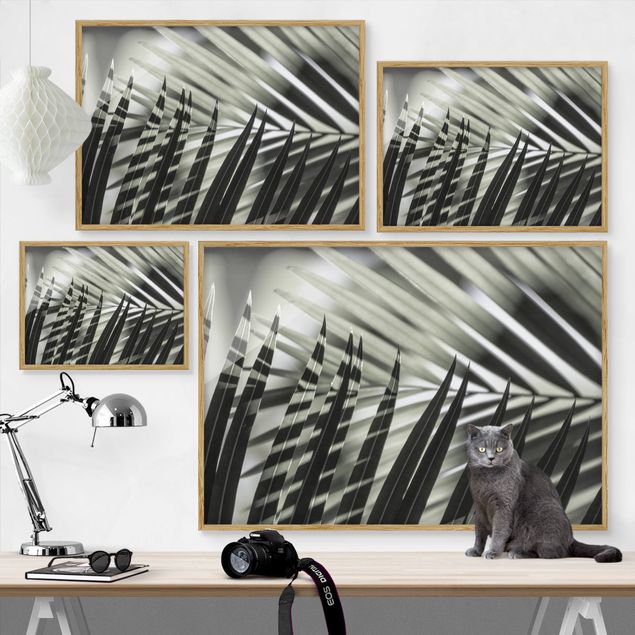 Bild mit Rahmen - Schattenspiel auf Palmenwedel - Querformat
