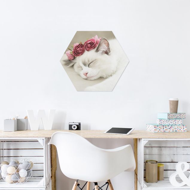 Hexagon Bild Forex - Schlafende Katze mit Rosen
