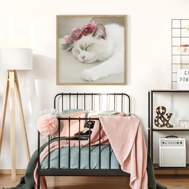 Bild mit Rahmen - Schlafende Katze mit Rosen - Quadrat