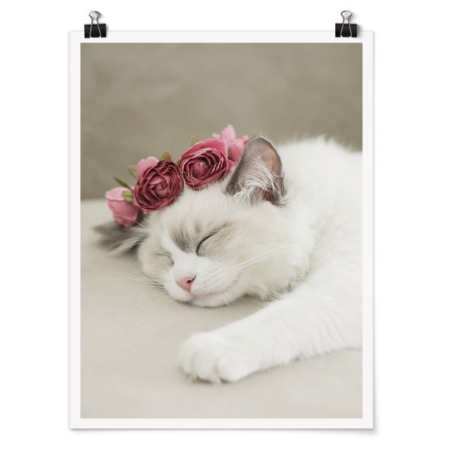 Poster - Schlafende Katze mit Rosen - Hochformat 3:4