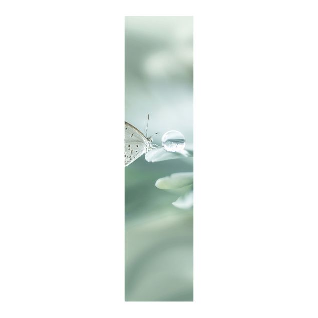 Schiebegardinen Set - Schmetterling und Tautropfen in Pastellgrün - Flächenvorhang
