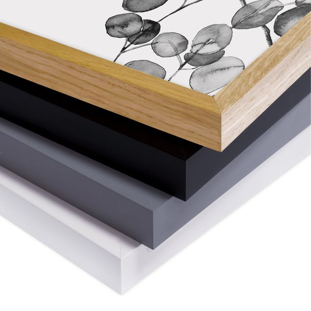 Bild mit Rahmen - Schwarz Weiß Aquarell Eukalyptuszweig - Quadrat