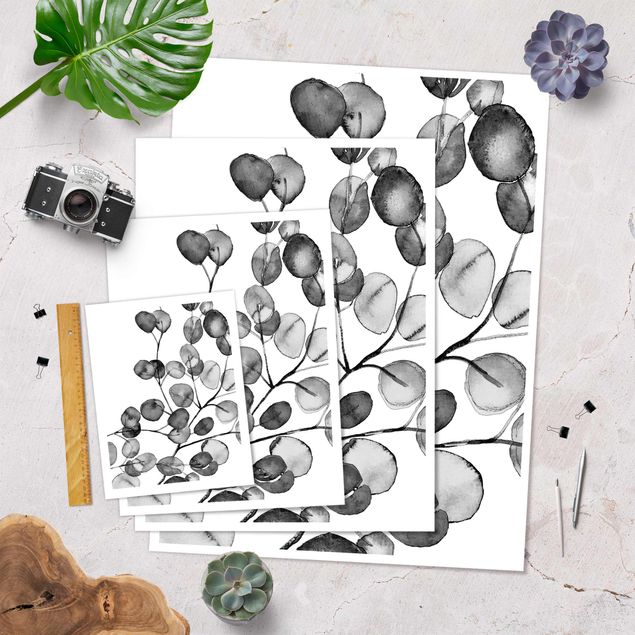 Poster - Schwarz Weiß Aquarell Eukalyptuszweig - Hochformat 3:4