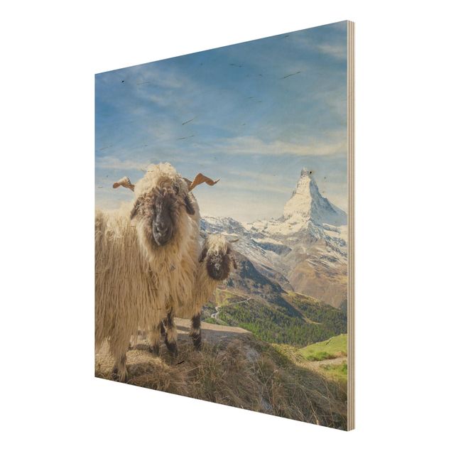 Holzbild - Schwarznasenschafe von Zermatt - Quadrat
