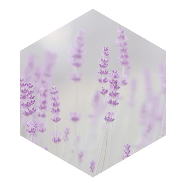 Hexagon Mustertapete selbstklebend - Sommer im Lavendelfeld