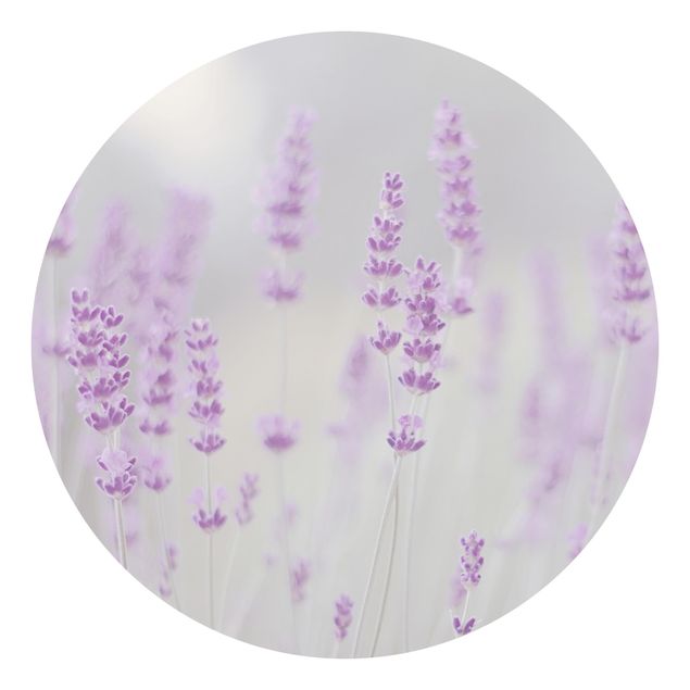 Runde Tapete selbstklebend - Sommer im Lavendelfeld