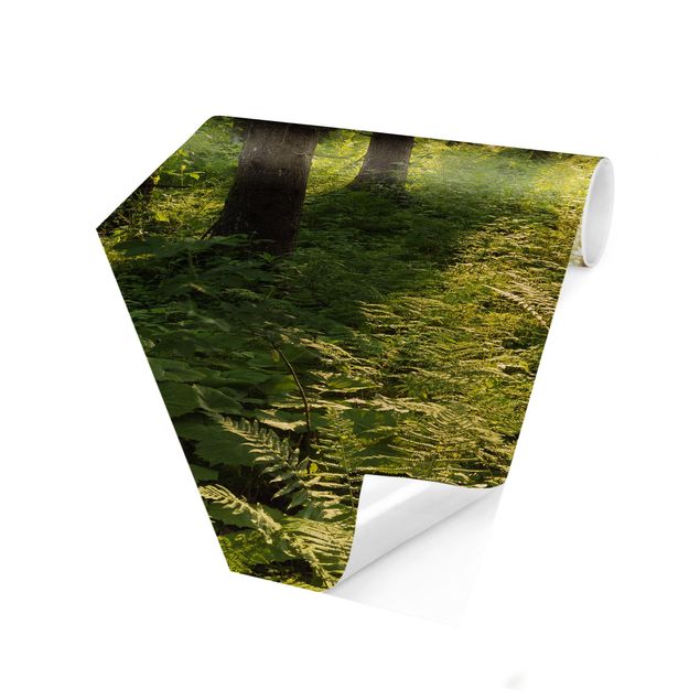Hexagon Mustertapete selbstklebend - Sonnenstrahlen in grünem Wald