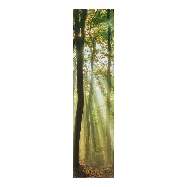 Schiebegardinen Set - Sonnentag im Wald - Flächenvorhänge