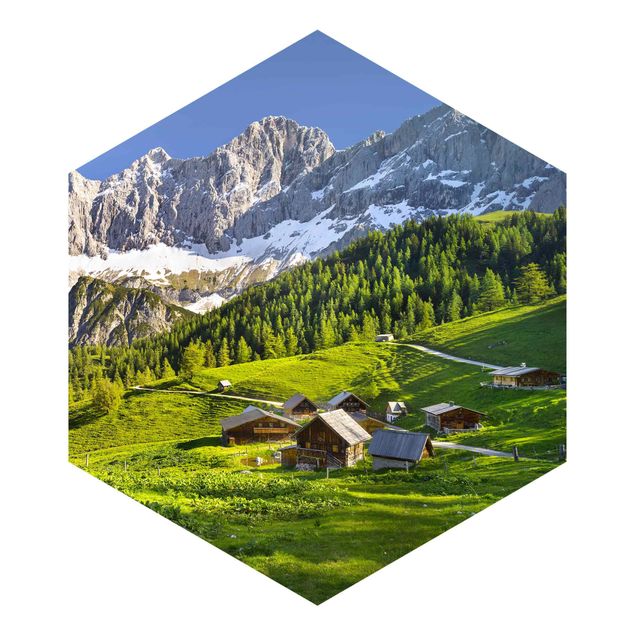 Hexagon Mustertapete selbstklebend - Steiermark Almwiese
