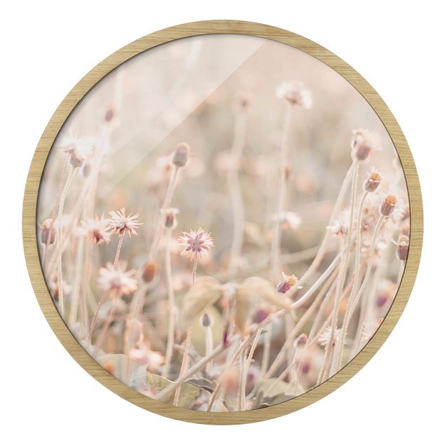 Rundes Gerahmtes Bild - Strahlende Blumenwiese