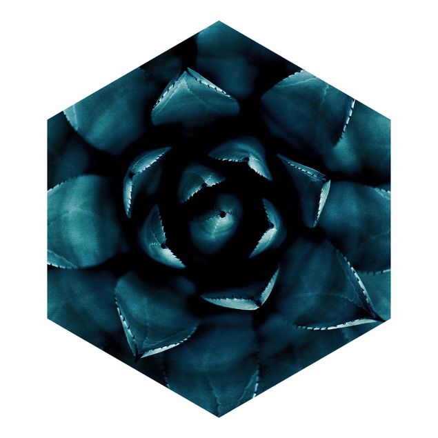 Hexagon Mustertapete selbstklebend - Sukkulente Petrol II