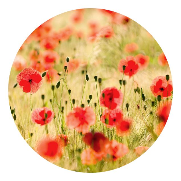 Runde Tapete selbstklebend - Summer Poppies