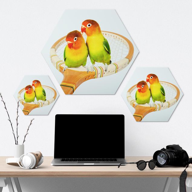 Hexagon-Alu-Dibond Bild - Tennis mit Vögeln