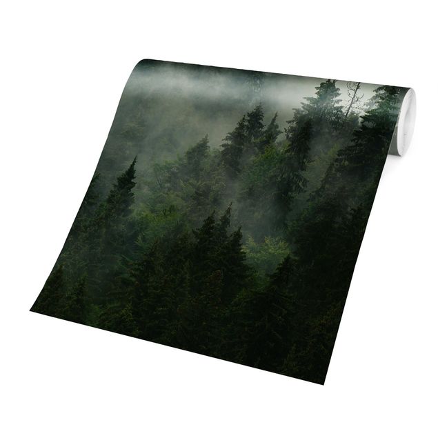 Fototapete - Tiefgrüner Tannenwald im Nebel