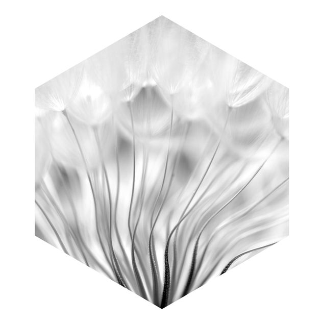 Hexagon Mustertapete selbstklebend - Traumhafte Pusteblume schwarz-weiß