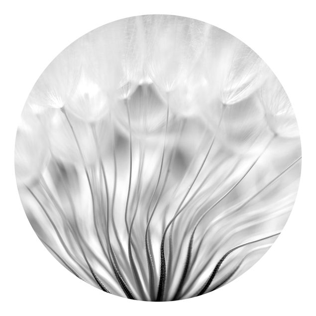 Runde Tapete selbstklebend - Traumhafte Pusteblume Schwarz-Weiß
