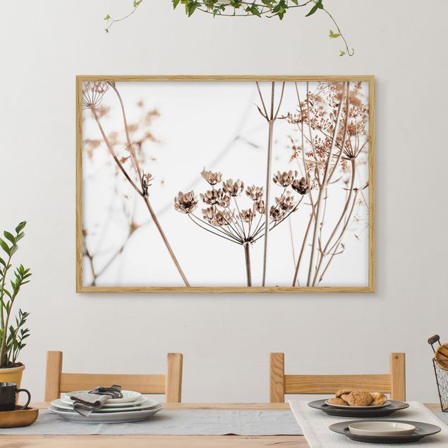 Bild mit Rahmen - Trockenblume im Lichtspiel - Querformat