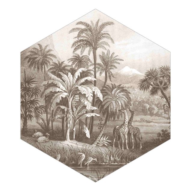 Hexagon Mustertapete selbstklebend - Tropischer Kupferstich mit Giraffen in Braun