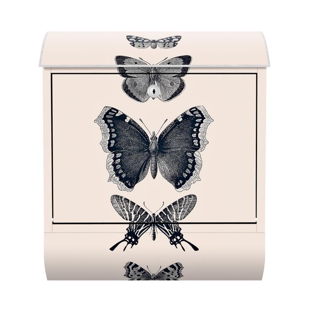 Briefkasten - Tusche Schmetterlinge auf Beige