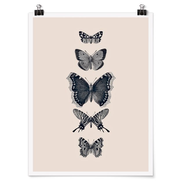 Poster - Tusche Schmetterlinge auf Beige - Hochformat 3:4