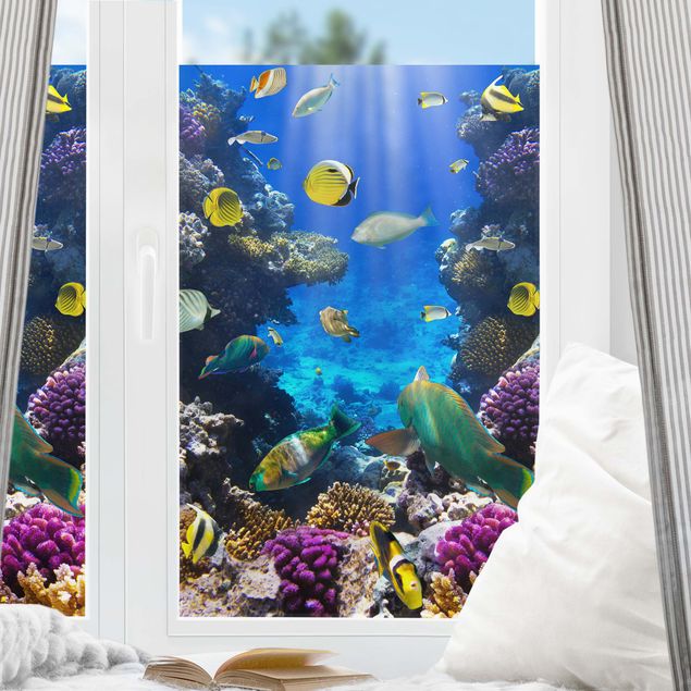 Fensterfolie - Sichtschutz - Underwater Dreams - Fensterbilder