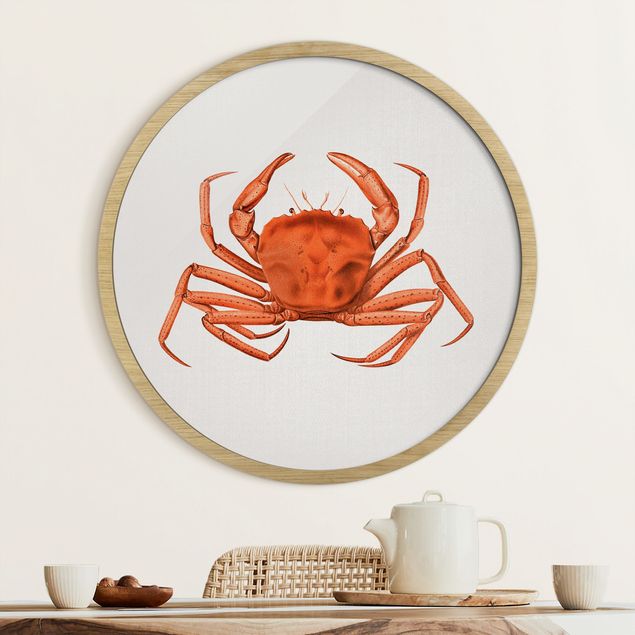 Runde Bilder mit Rahmen Vintage Illustration Rote Krabbe