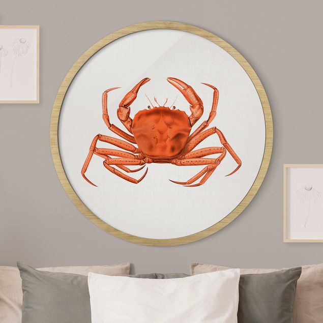 Rundes Gerahmtes Bild - Vintage Illustration Rote Krabbe